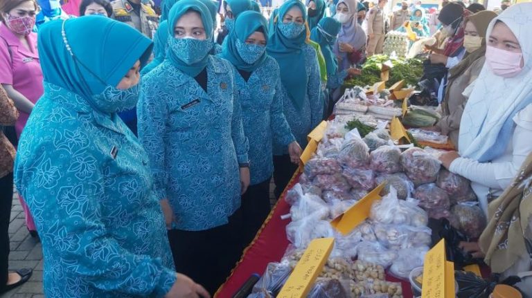 ketua-tp-pemberdayaan-kesejahteraan-keluarga-pkk-kalsel-hj-raudatul_220406144910-907