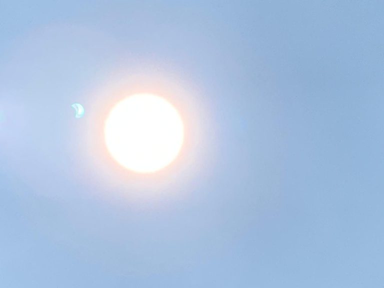 WhatsApp Image 2023-04-20 at 11.45.55