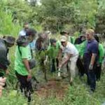 Penanaman Bibit Kayu Ulin Tutup MP2AF 2025