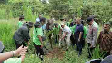 Penanaman Bibit Kayu Ulin Tutup MP2AF 2025