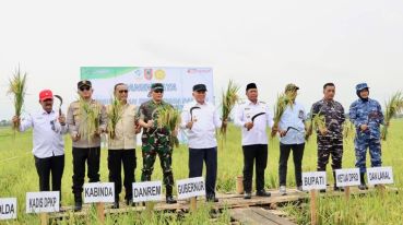 Gubernur Kalsel Panen Raya di Batola, Produksi Padi Kalsel Tertinggi di Kalimantan